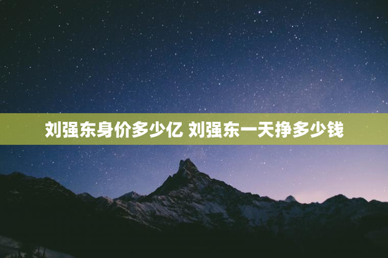 刘强东身价多少亿 刘强东一天挣多少钱