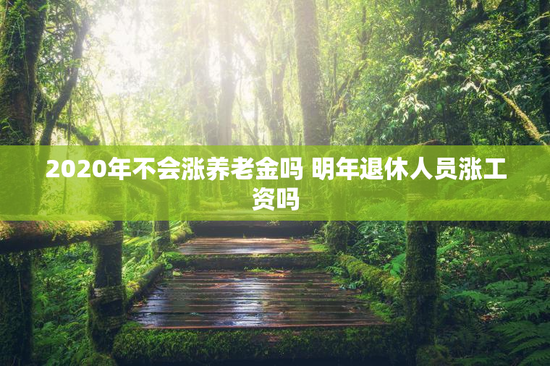 2020年不会涨养老金吗 明年退休人员涨工资吗