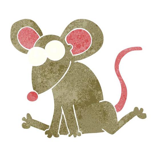 鼠人2024年运势如何(好运连连财源滚滚)