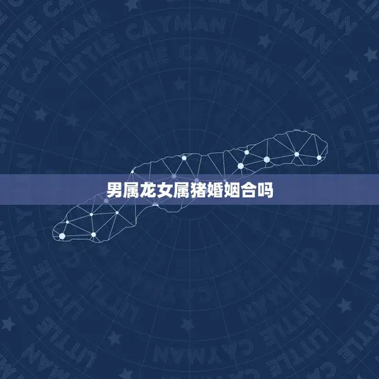 男属龙女属猪婚姻合吗