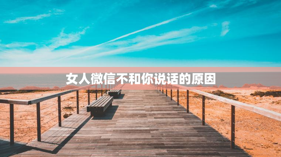 女人微信不和你说话的原因