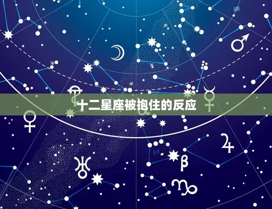 十二星座被抱住的反应