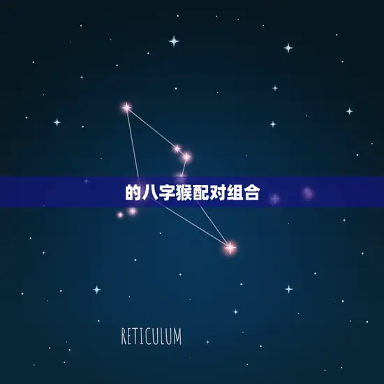 的八字猴配对组合