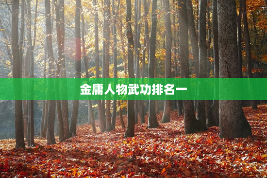 金庸人物武功排名一