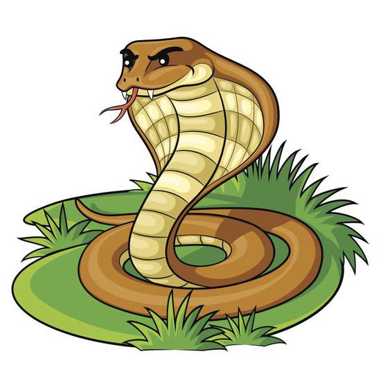 1990年属蛇还是属马(解密你的生肖是什么)