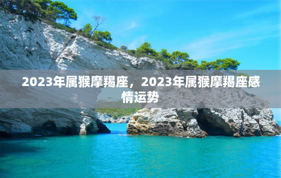 2023年属猴摩羯座，2023年属猴摩羯座感情运势