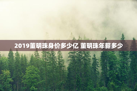 2019董明珠身价多少亿 董明珠年薪多少