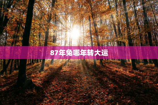 87年兔哪年转大运