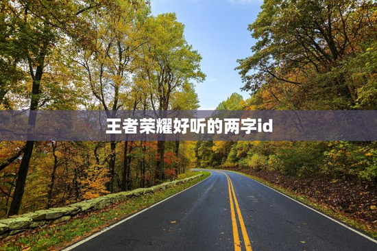 王者荣耀好听的两字id
