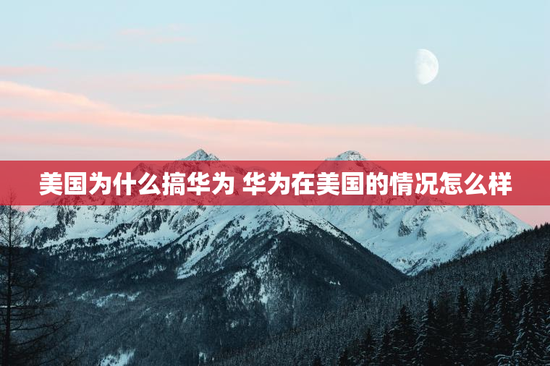 美国为什么搞华为 华为在美国的情况怎么样