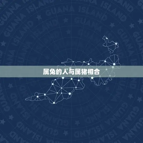 属兔的人与属猪相合