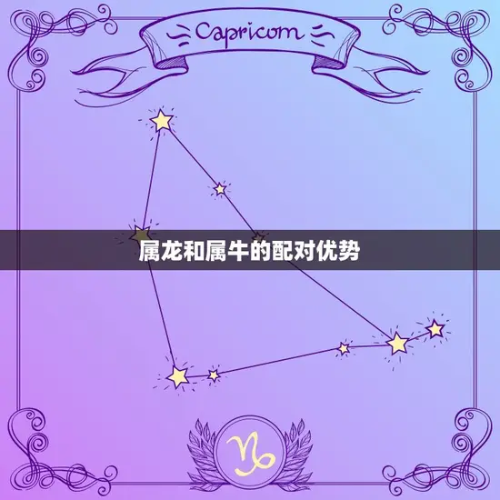 属龙和属牛的配对优势