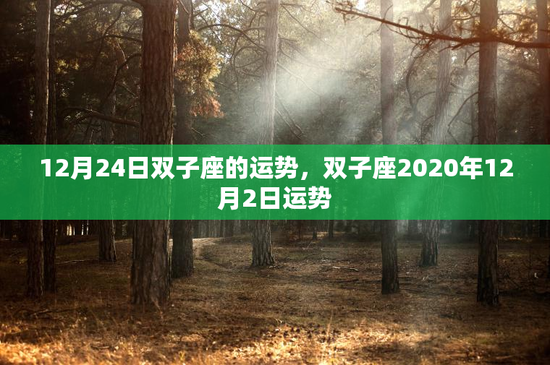 12月24日双子座的运势，双子座2020年12月2日运势