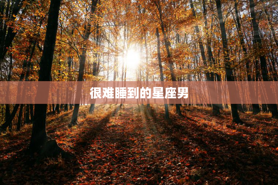 很难睡到的星座男