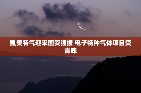 凯美特气迎来国资强援 电子特种气体项目受青睐