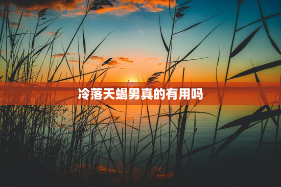 冷落天蝎男真的有用吗