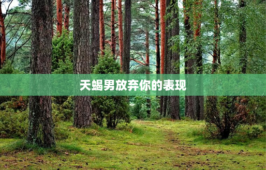 天蝎男放弃你的表现