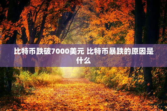 比特币跌破7000美元 比特币暴跌的原因是什么
