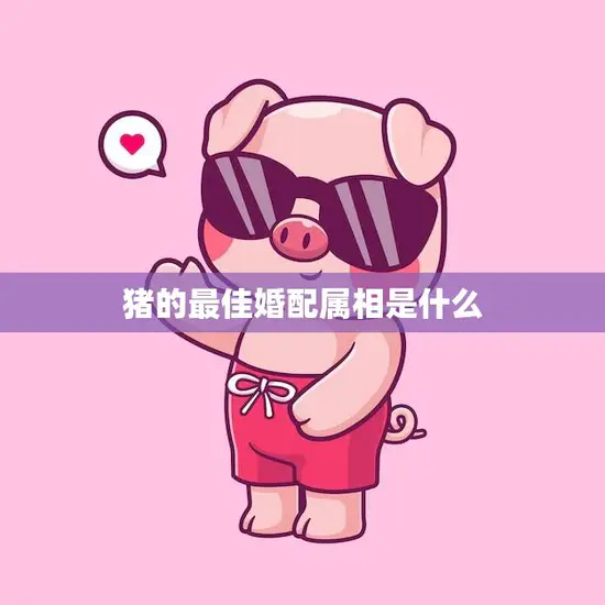 猪的最佳婚配属相是什么(揭秘猪婚姻的黄金搭档)