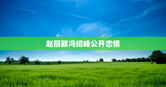 赵丽颖冯绍峰公开恋情