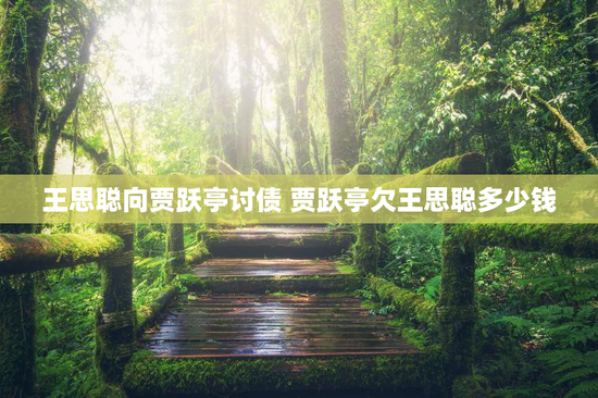 王思聪向贾跃亭讨债 贾跃亭欠王思聪多少钱