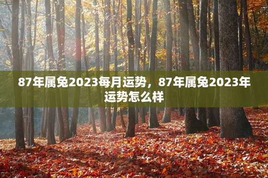 87年属兔2023每月运势，87年属兔2023年运势怎么样