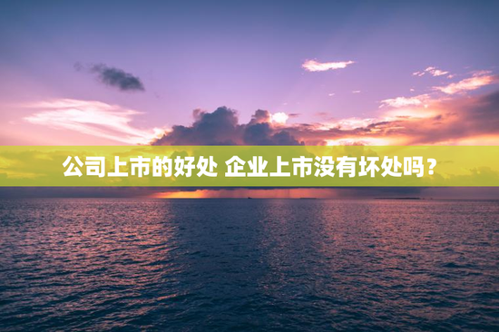 公司上市的好处 企业上市没有坏处吗？
