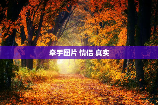 牵手图片 情侣 真实