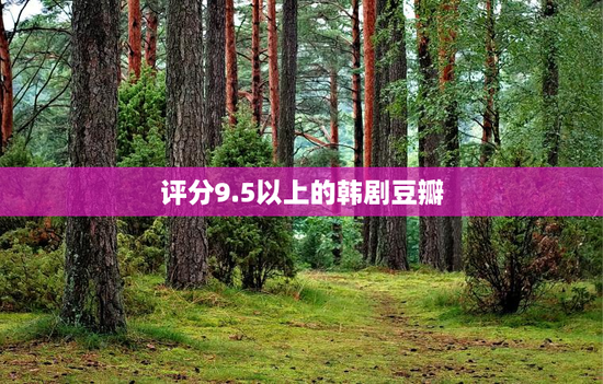 评分9.5以上的韩剧豆瓣