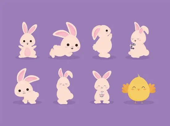 兔年五行属金带财运的字(如何吸引财运)