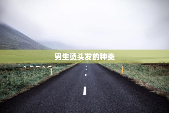 男生烫头发的种类