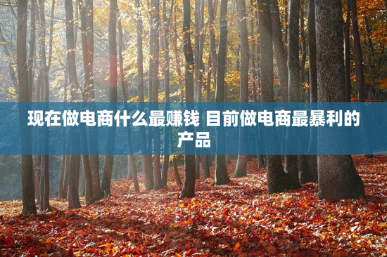 现在做电商什么最赚钱 目前做电商最暴利的产品