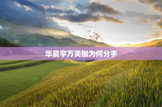 华晨宇万芙伽为何分手