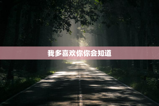 我多喜欢你你会知道