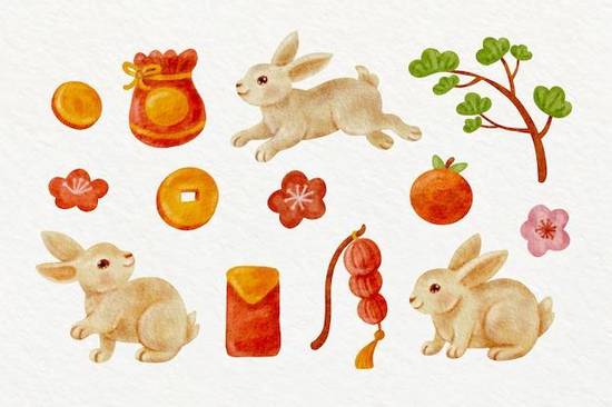 属兔女人最佳配偶是什么(如何选择最适合你的伴侣)