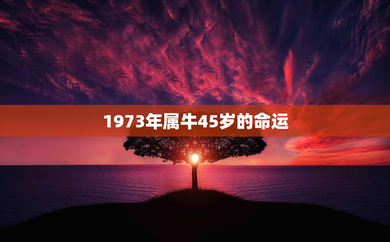 1973年属牛45岁的命运