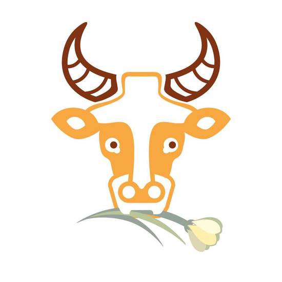 1988年属龙金牛座女生(性格分析与爱情观察)