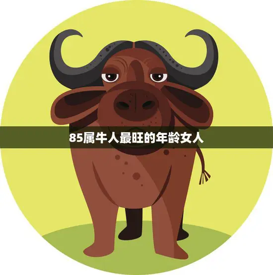 85属牛人最旺的年龄女人(探秘事业、爱情、家庭三位一体的完美时期)