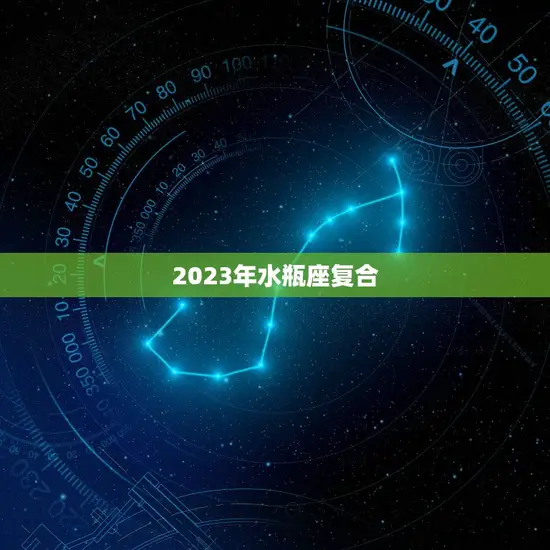 2023年水瓶座复合