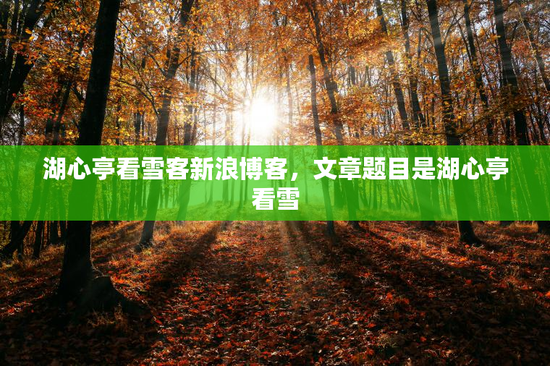 湖心亭看雪客新浪博客，文章题目是湖心亭看雪