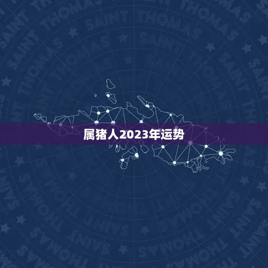 属猪人2023年运势