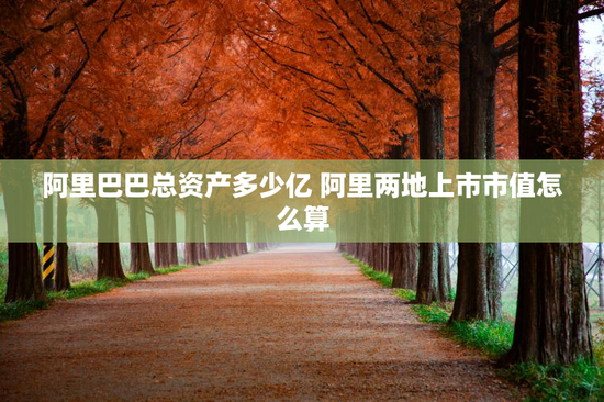 阿里巴巴总资产多少亿 阿里两地上市市值怎么算