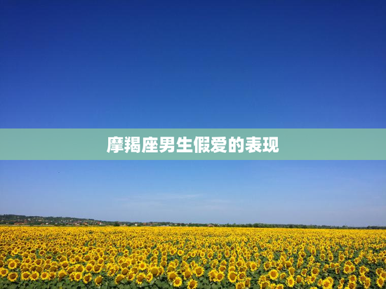 摩羯座男生假爱的表现