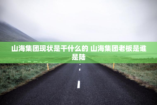 山海集团现状是干什么的 山海集团老板是谁是陆