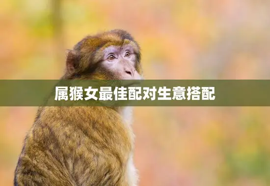 属猴女最佳配对生意搭配(如何选择最适合的商业伴侣)