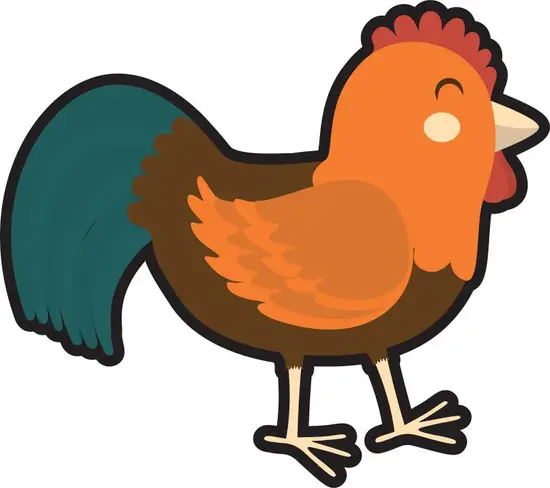 81年属鸡的命运三大坎(如何应对)