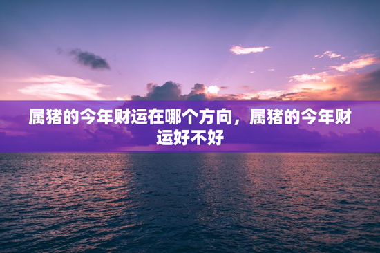 属猪的今年财运在哪个方向，属猪的今年财运好不好