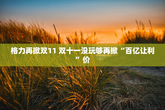 格力再掀双11 双十一没玩够再掀“百亿让利”价