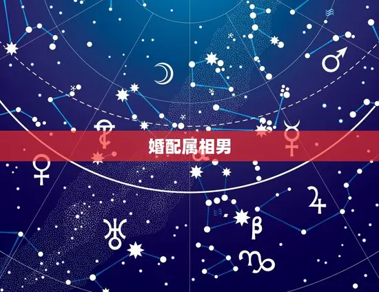 婚配属相男