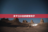 关于江小白的爱情句子